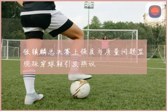 张镇麟总决赛上强度与质量问题显现踩穿球鞋引发热议